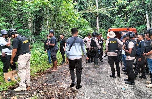 Daun penggemuk ayam di Yapen Utara, Kab. Kepulauan Yapen