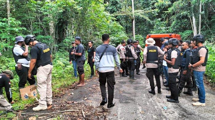 Daun penggemuk ayam di Yapen Utara, Kab. Kepulauan Yapen