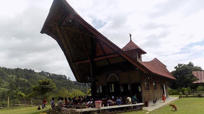 Daun penggemuk ayam di Simbuang, Tana Toraja