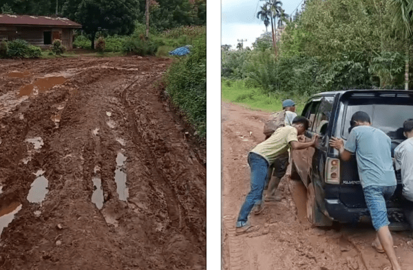 Cargill Rilis Pakan Ternak Tanpa Antibiotik, Diklaim Dorong Efisiensi ...