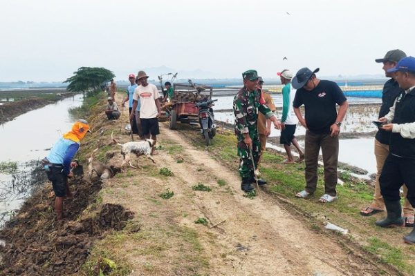 Ayam Geprek, King Crisbar - GoFood