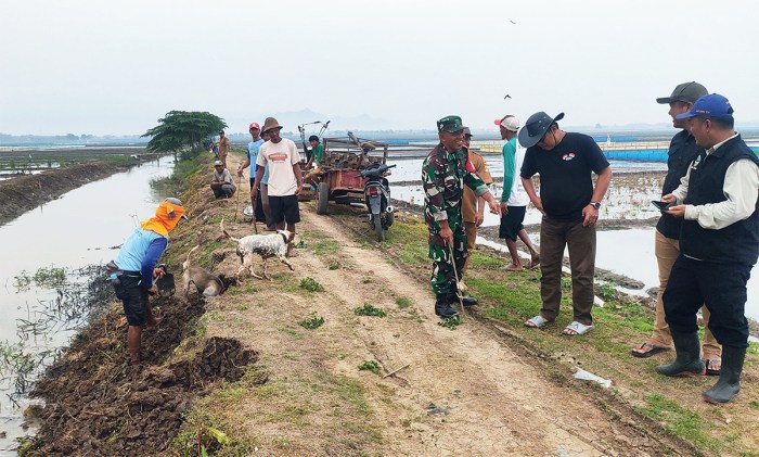 Ayam Geprek, King Crisbar - GoFood