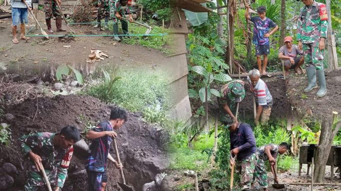 Daun penggemuk ayam di Ulu Bongka, Tojo Una-una