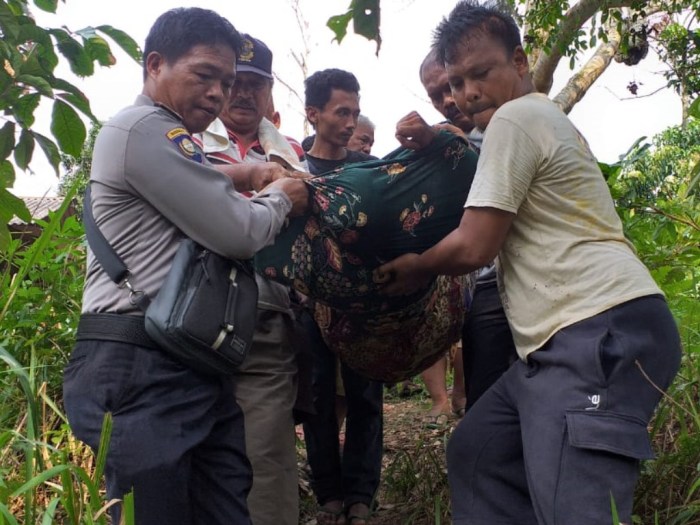 Petani di Deli Serdang Meninggal di Gubuk Ladangnya | Tagar Daging kambing di Lubuk Pakam, Deli Serdang