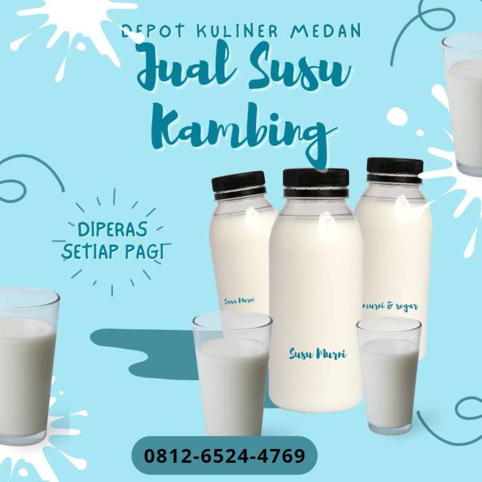 Distributor susu kambing murni – Medium Susu kambing di Jamanis, Tasikmalaya