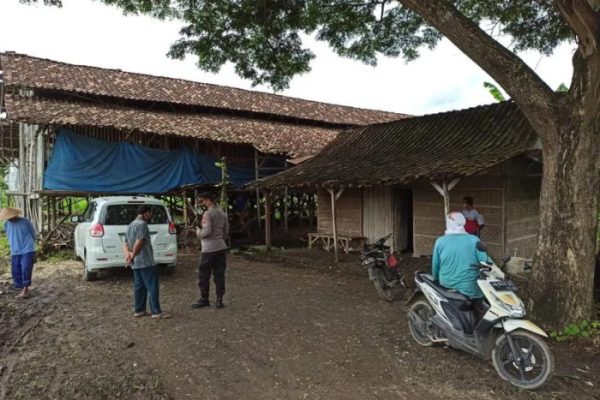 Budidaya ternak ayam di Eromoko, Wonogiri