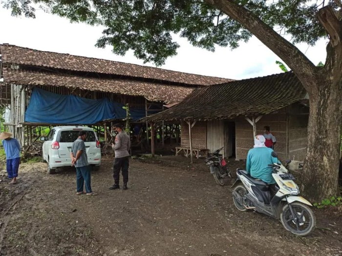 Budidaya ternak ayam di Eromoko, Wonogiri