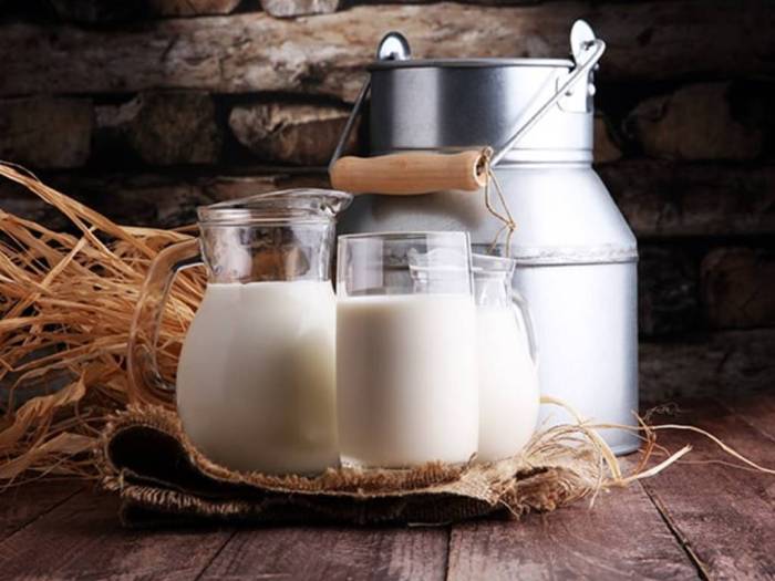 Susu kambing di Wiradesa, Pekalongan