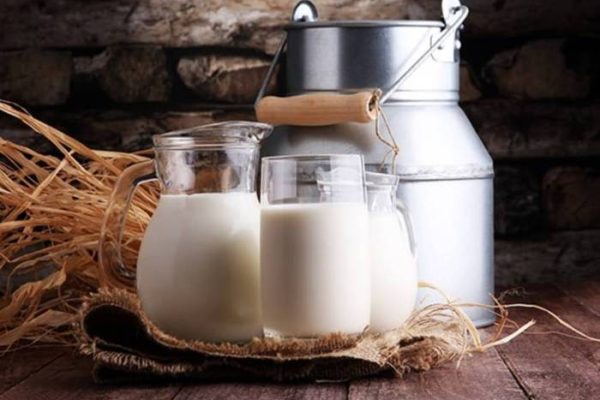 Susu kambing di Karangjati, Ngawi