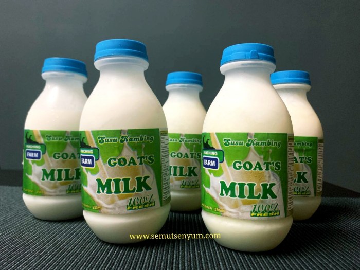 Susu Kambing kini diolah jadi Jelly dan Effervescent | JURNAL MEDIA ... Susu kambing di Tegal Barat, Kota Tegal