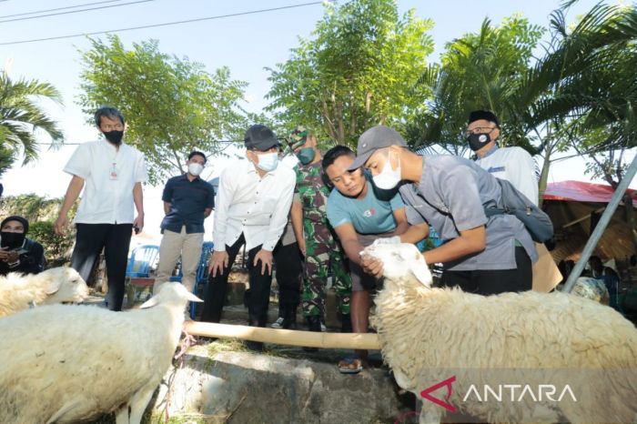 Daging kambing di Kedopak, Kota Probolinggo