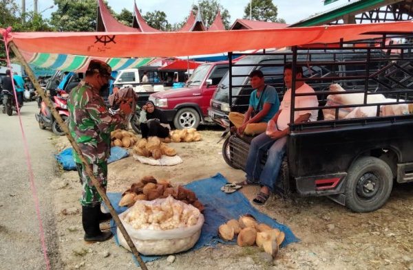 YBM BRILiaN dan Dompet Dhuafa Luncurkan BRILiaN Farm Solok | Republika ...