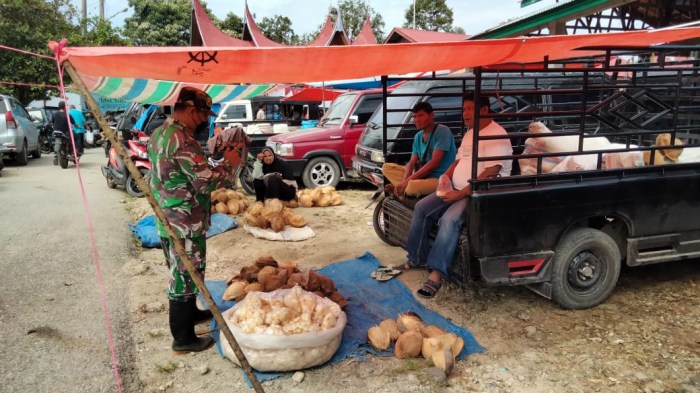 YBM BRILiaN dan Dompet Dhuafa Luncurkan BRILiaN Farm Solok | Republika ... YBM BRILiaN dan Dompet Dhuafa Luncurkan BRILiaN Farm Solok | Republika ...