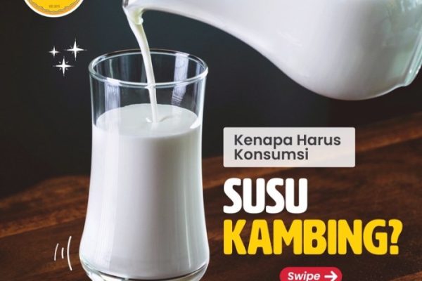 Susu kambing di Sukatani, Purwakarta