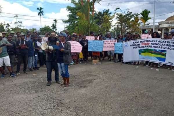 Daun penggemuk ayam di Agimuga, Kab. Mimika