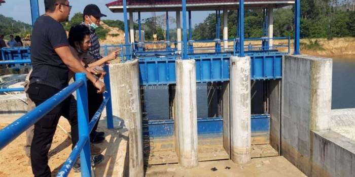 Ayam layer di Batang Asai, Kabupaten Sarolangun