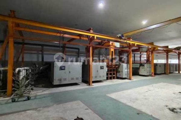 Daun penggemuk ayam di Manuhing, Gunung Mas