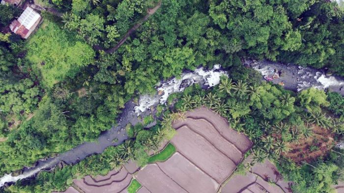 Hasilnya Wow! Peternakan Ayam Petelur dan Pembesaran Lapas Kelas I ... Budidaya ternak ayam di Comal, Pemalang