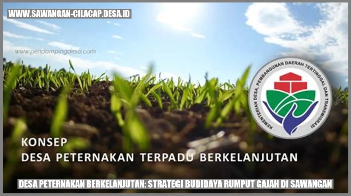 Desa Peternakan Berkelanjutan: Strategi Budidaya Rumput Gajah di ... Desa Peternakan Berkelanjutan: Strategi Budidaya Rumput Gajah di ...