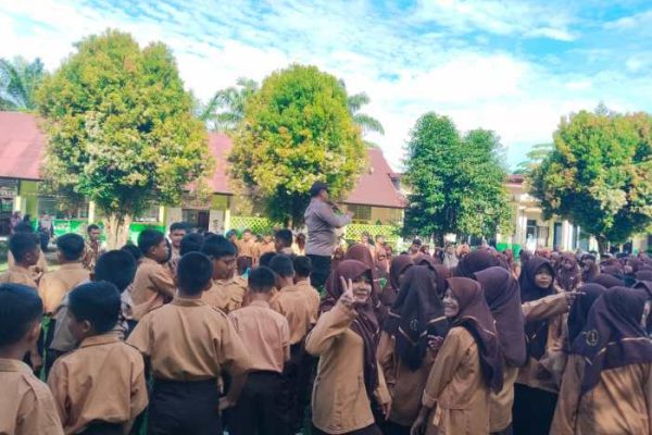 Ayam petelur jantan di Luhak Nan Duo, Kabupaten Pasaman Barat