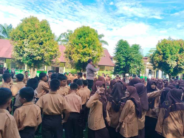 Jerit Peternak Ayam Petelur: Pakan Mahal, Permintaan Sedikit Ayam petelur jantan di Luhak Nan Duo, Kabupaten Pasaman Barat