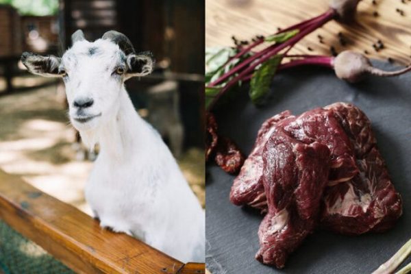 Daging kambing di Parakan, Temanggung