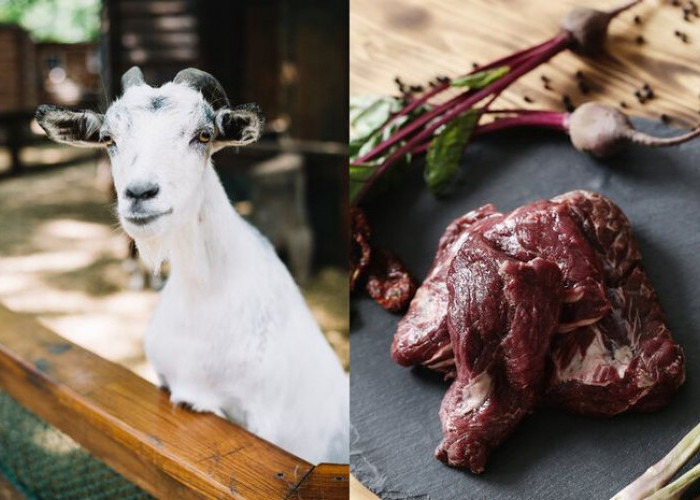 Daging kambing di Jatiasih, Kota Bekasi