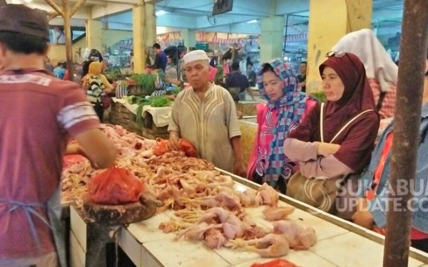 Ayam afkir di Cibadak, Sukabumi
