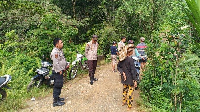 Daun penggemuk ayam di Sangalla Selatan, Tana Toraja