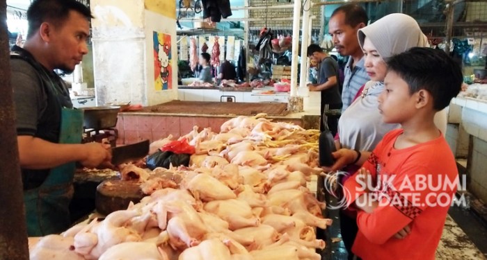 Harga ayam kampung potong di Curugkembar, Sukabumi