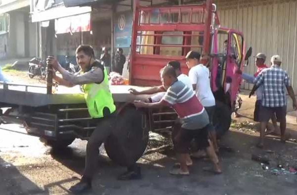 Ayam Ternak di Tanggul, Jember