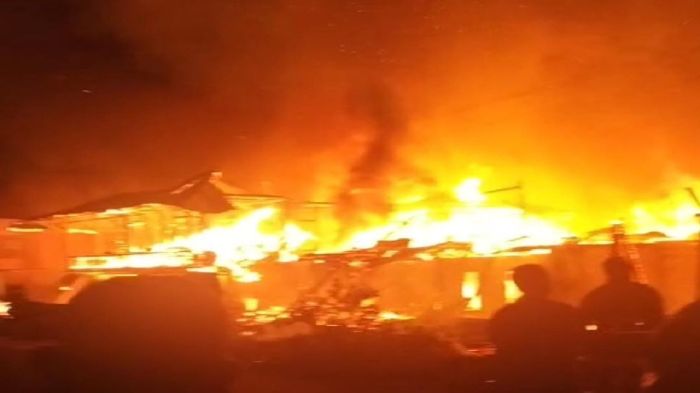 Gini Lho Cara Merawat Ayam Batu Rantai Yang Terbaik - Merawat Gini Lho Cara Merawat Ayam Batu Rantai Yang Terbaik - Merawat