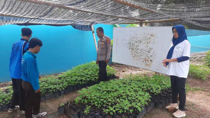Budidaya ayam di Way Kenanga, Tulang Bawang Barat