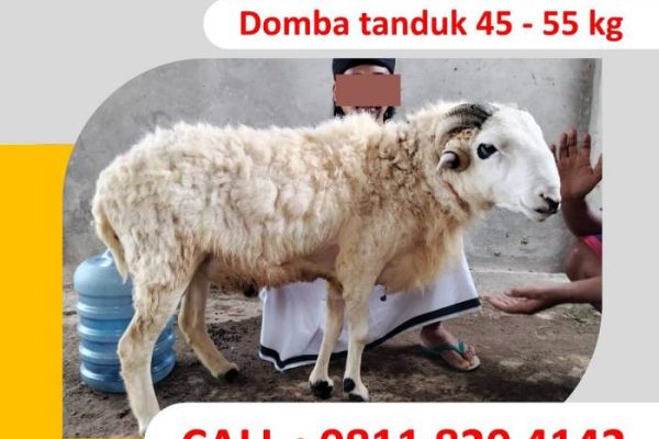 Daging kambing di Gudo, Jombang