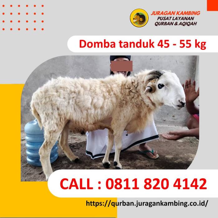 Sering Dituding jadi Penyebab Kolesterol Tinggi, Ini Manfaat Daging ... Daging kambing di Gudo, Jombang