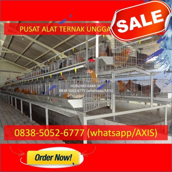 0838–5052–6777 — Supliyer Kandang Baterai Ayam Petelur Kota Serang | by ... 0838–5052–6777 — Supliyer Kandang Baterai Ayam Petelur Kota Serang | by ...