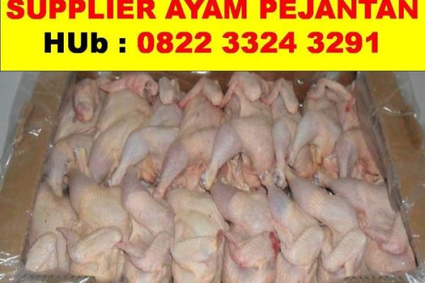 Intip Peternakan Ayam Petelur di Tangerang Selatan | tempo.co