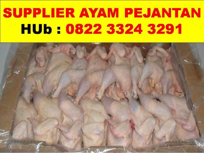 Intip Peternakan Ayam Petelur di Tangerang Selatan | tempo.co