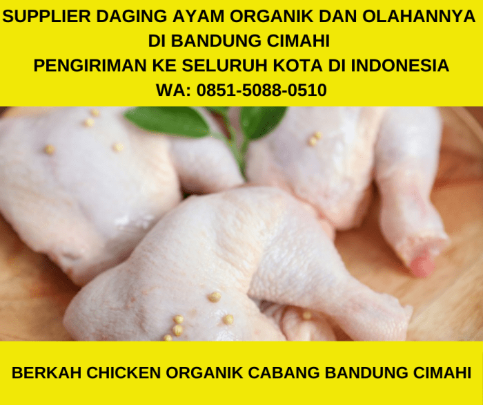 Harga Telur Ayam Mulai Merangkak Naik di Pasar Cikurubuk Tasikmalaya ...