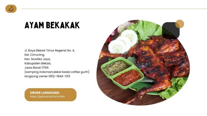 Beli ayam petelur afkir dikawinkan dengan ayam bangkok - YouTube