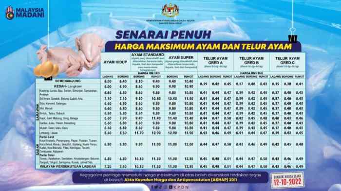 Harga Telur Ayam Terkini Dan Subsidi Telur
