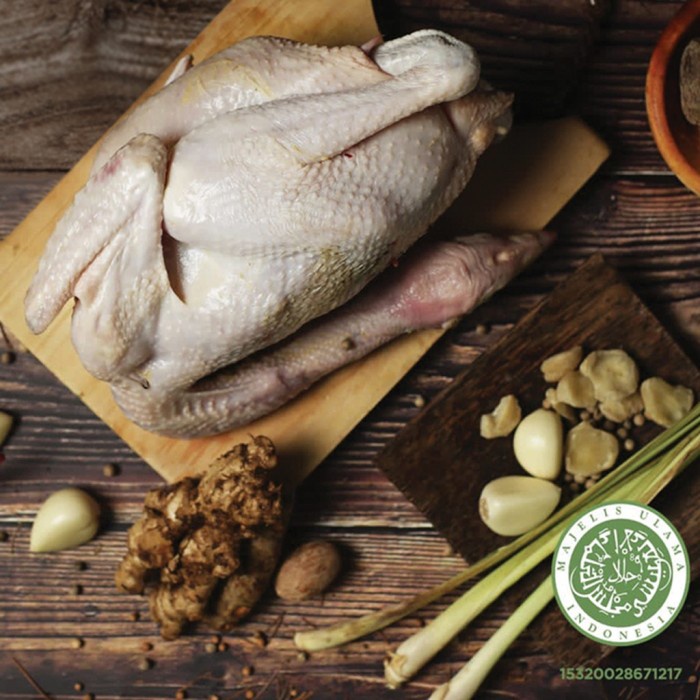 Ayam layer di Koto Baru, Kota Sungai Penuh