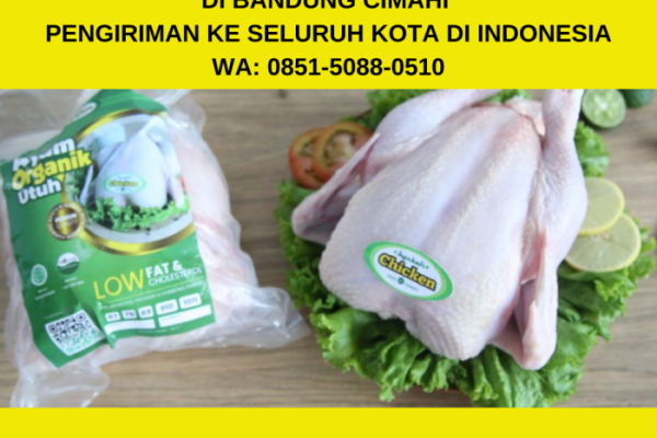 Jual Ayam Kampung Potong 1 kg - Kab. Bekasi - Pasar Segar Cikarang ...