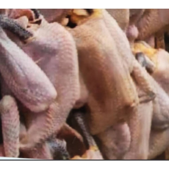 Harga ayam kampung potong di Mataram Baru, Lampung Timur