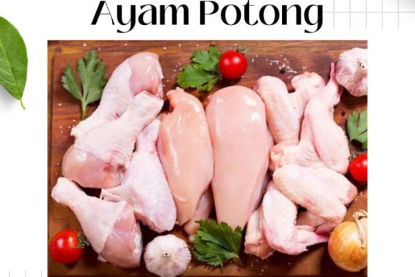 Jual Ayam Potong Random 1 Kilogram / ayam potong termurah SE Indonesia ...