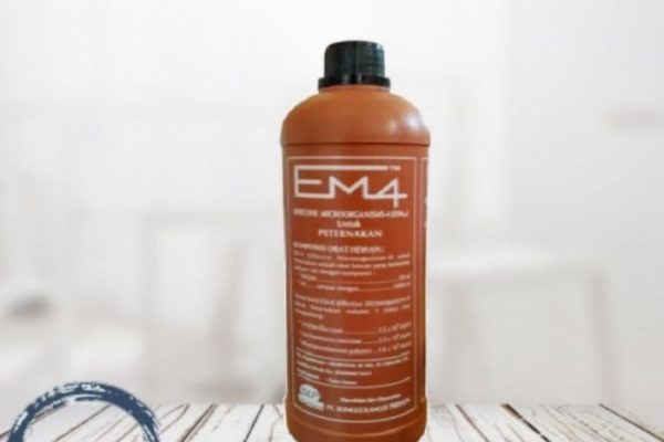 Em4 peternakan ayam di Kuantan Hilir Seberang, Kuantan Singingi