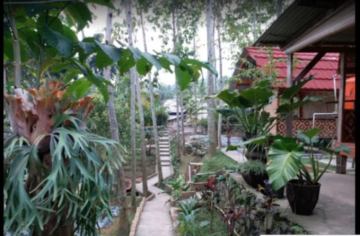 Ayam Bakar Madu Terenak di Bogor - Tribun JualBeli