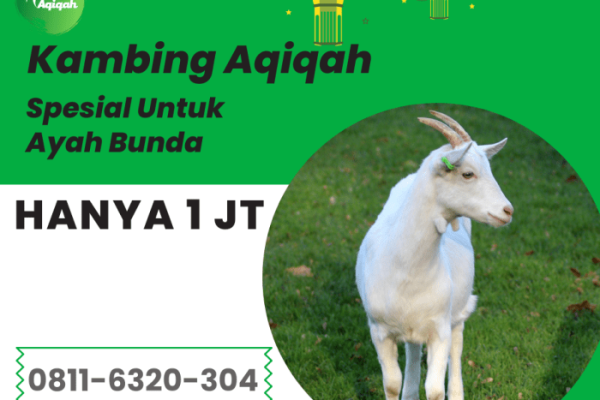 Daging kambing di Medan Tuntungan, Kota Medan