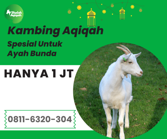 Daging kambing di Medan Tuntungan, Kota Medan