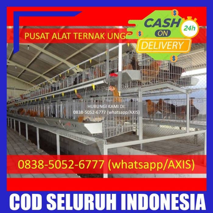0838–5052–6777 — Supliyer Kandang Baterai Ayam Petelur Kabupaten Way ... 0838–5052–6777 — Supliyer Kandang Baterai Ayam Petelur Kabupaten Way ...